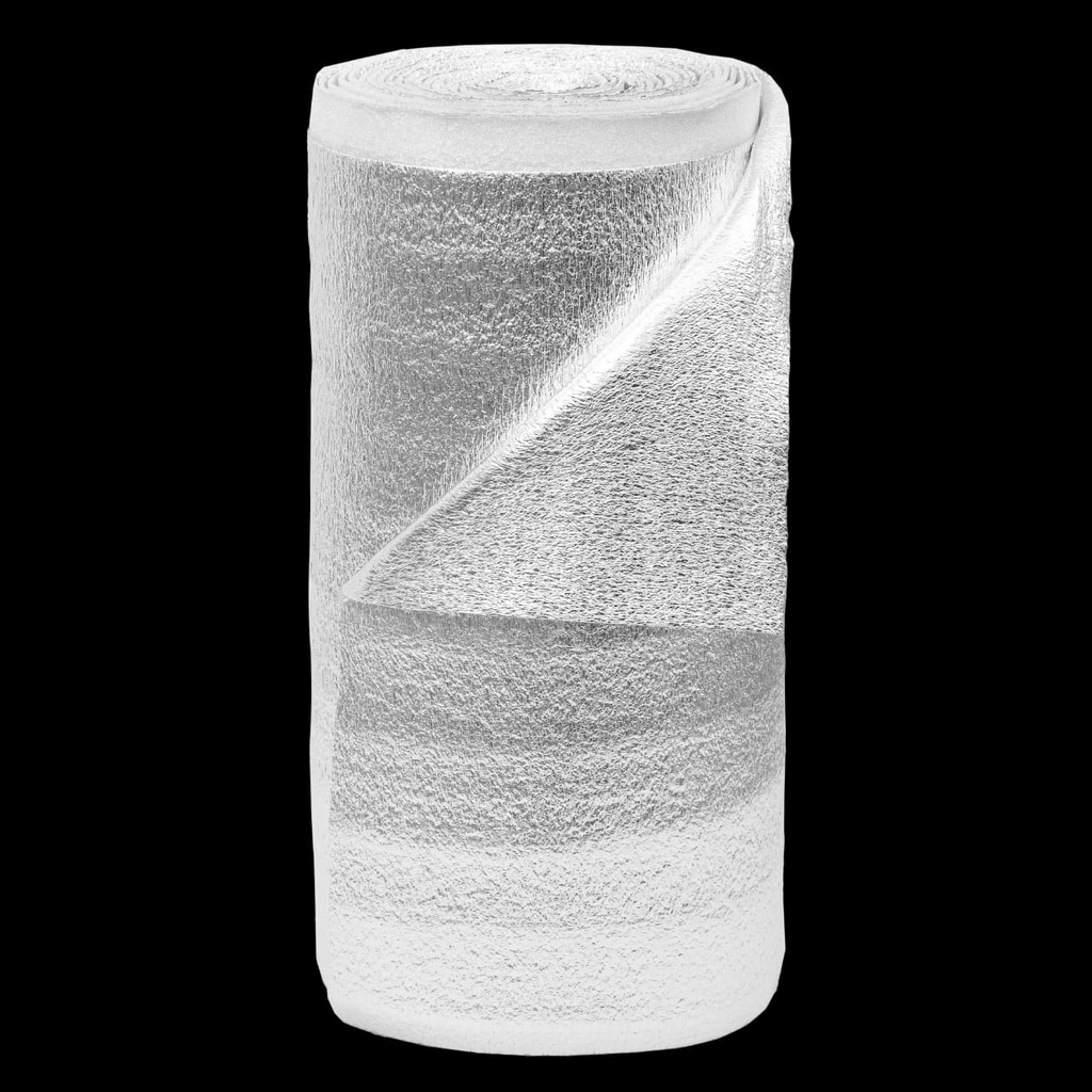 AIS.ESP.RALD 10MM 1X20 C/SOLAP